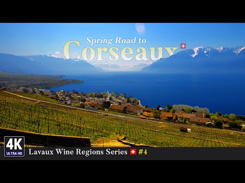 Lavaux Vineyards Switzerland 🇨🇭 Ep#4 - Epic Spring Road Trip from Mont Pèlerin to Corseaux in Vaud