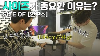 퀘이사존