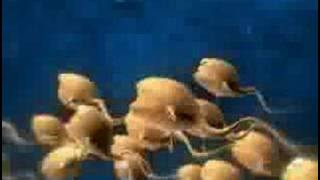 Polina Griffith - Just Another Love Song