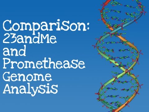 Comparison: 23andMe and Promethease Genome Analysis