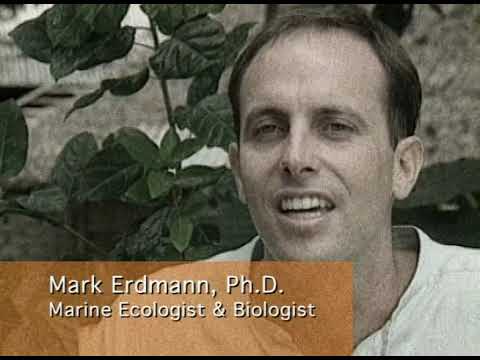 Devil Dragon: Part 2/2 | Lost Tapes, Season 1