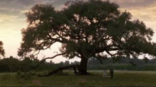 FORREST GUMP - Farewell To The Fairground, White Lies (MUSIC VIDEO by kLEM ENtiNE)