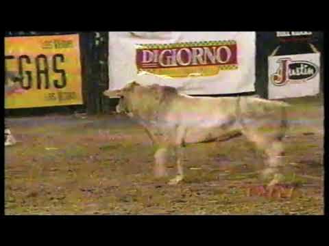 Norman Curry vs Dirty Dancer - 98 PBR Tucson (88 pts)