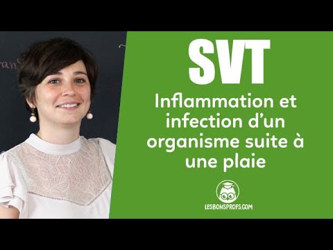 Inflammation et infection de l'organisme suite à une plaie