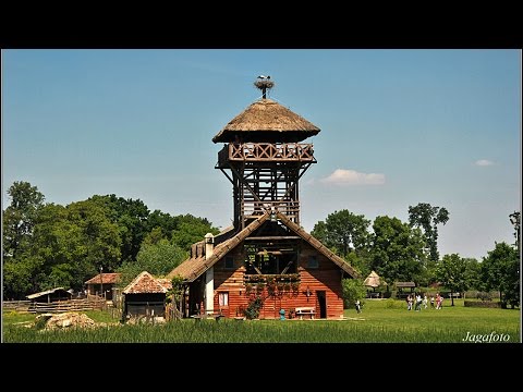Zasavica, specijalni rezervat prirode, 22.05.2016. godine