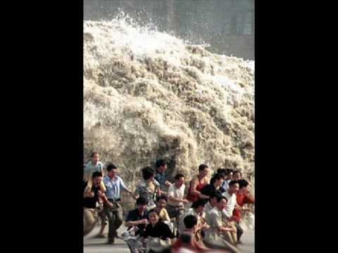 witt/heppner - die flut