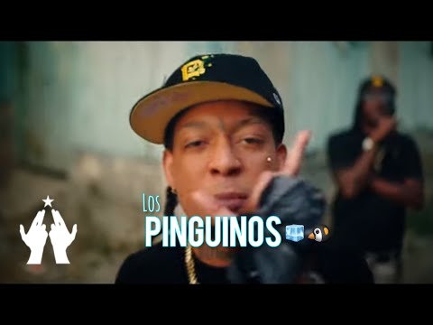 Miniatura de LOS PING&Uuml;INOS