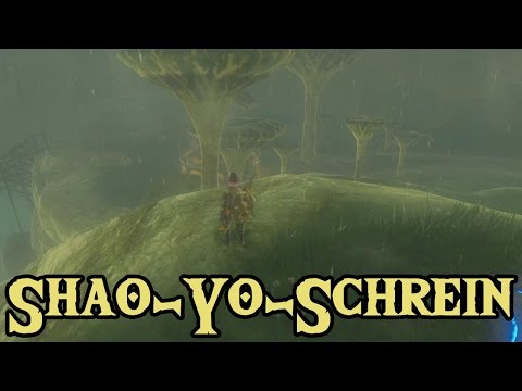 Shao-Yo Shrine: The Right Moment 【Zelda Breath of the Wild】