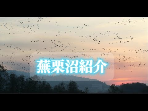 オードマロワ湿地 - 定義