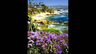 The Guitar Gods -  Jeff Beck - Apache - Sleepwalk