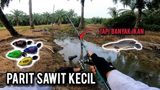 Download lagu CASTING HARUAN | JANGAN ABAIKAN SPOT SEPERTI INI | SHIMANO CURADO MGL | VLOG749 mp3