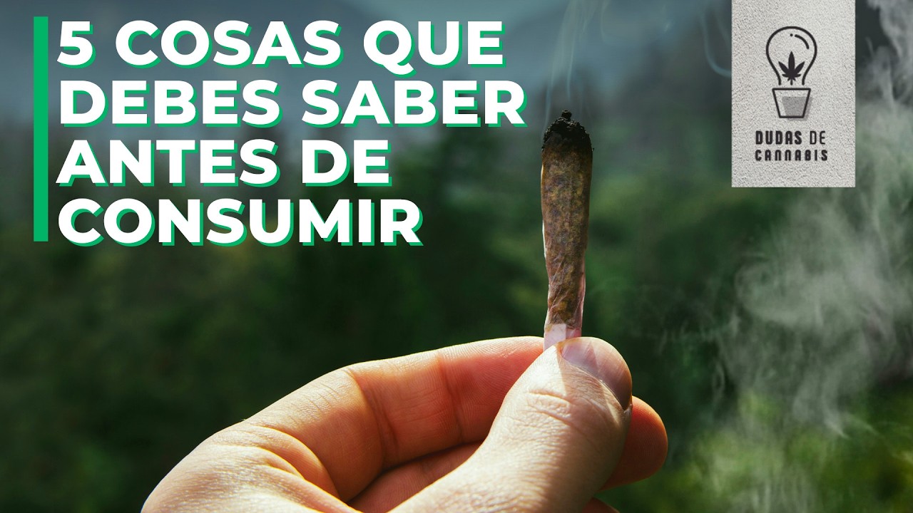 5 COSAS QUE DEBES SABER ANTES DE CONSUMIR