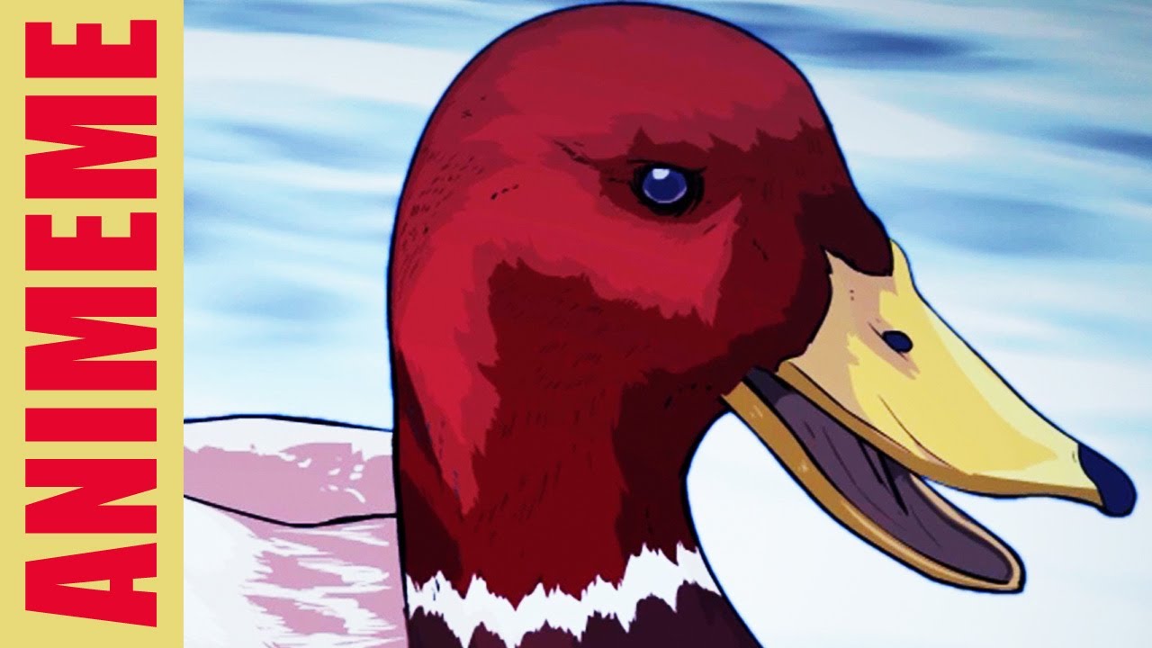 MALICIOUS ADVICE MALLARD