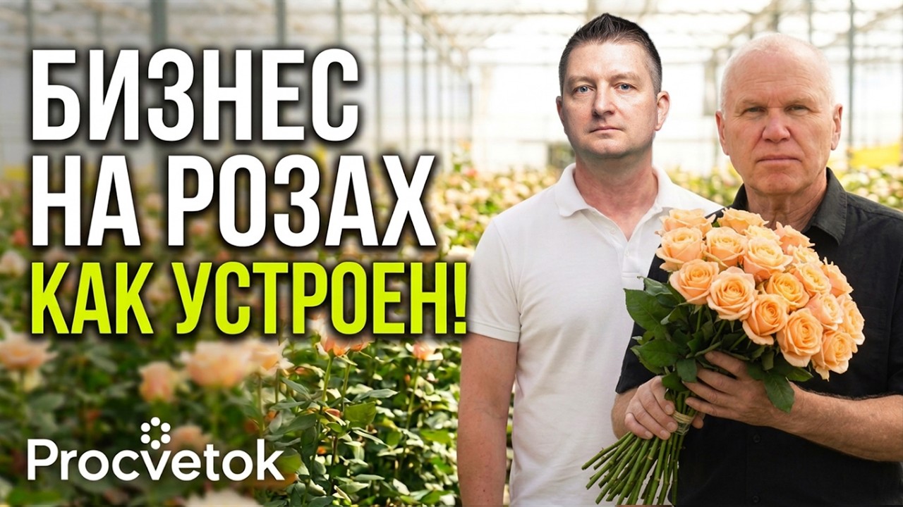 6 000 000 РОЗ В ГОД! Как Орша стала &laquo;Новой Голландией&raquo;! Показываем производство роз изнутри