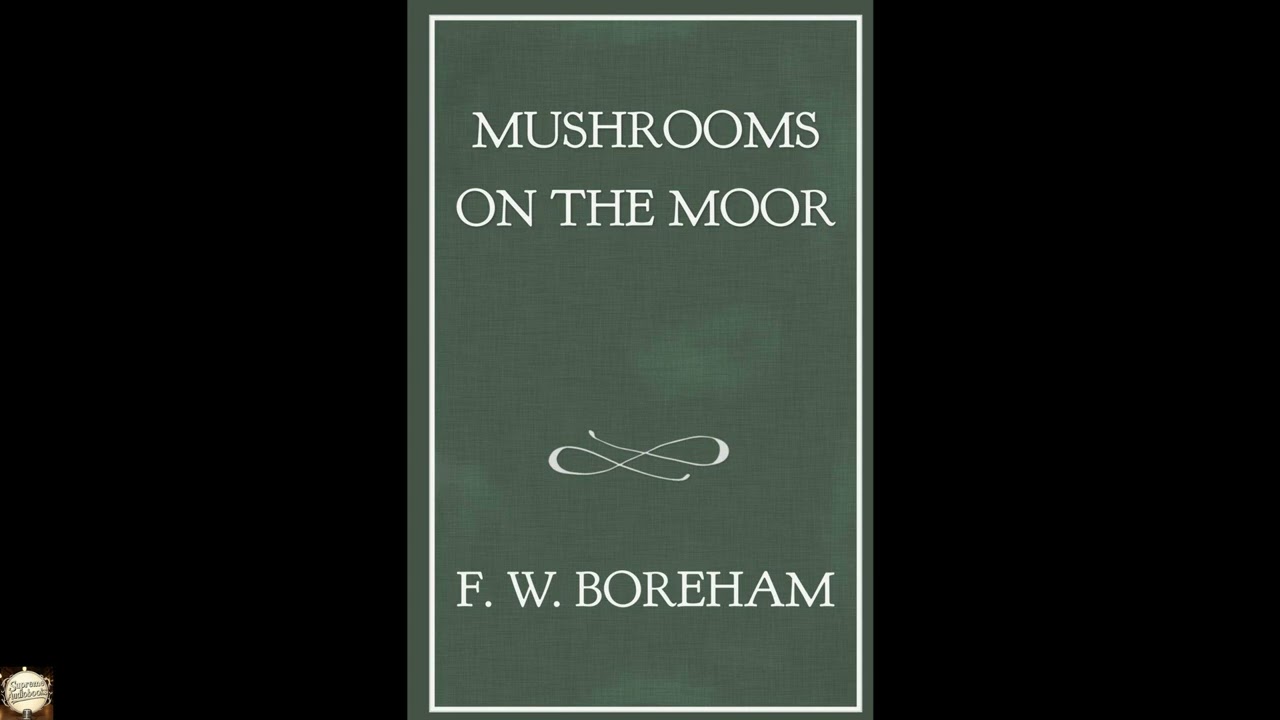 Mushrooms on the Moor