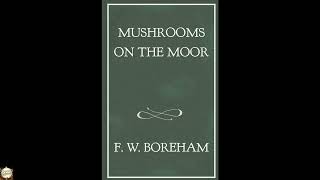 Mushrooms on the Moor