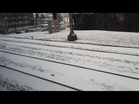 Van Tilburg CS naar Tilburg Universiteit