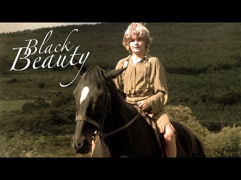 afbeelding Black Beauty