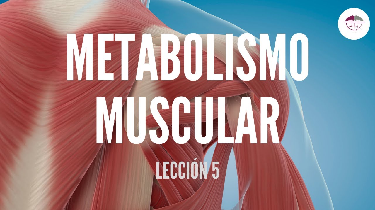 5. METABOLISMO MUSCULAR (FISIOLOGÍA MUSCULAR)