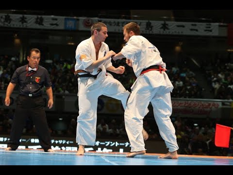 Benoit Porlier vs Anatolii Zhuravel (The 11th World Karate Championship Shinkyokushin 2015)