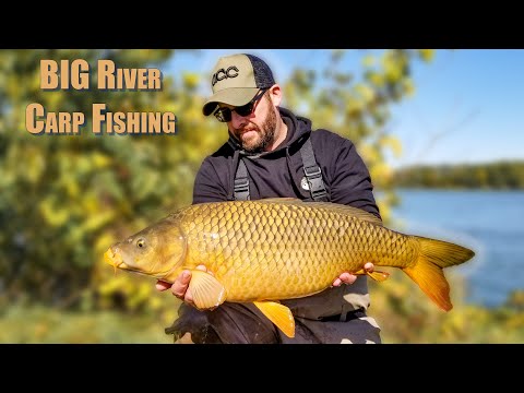 Big River Carp Fishing