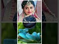 Ishq Ki Dastan Nagmani Serial Paro New Shorts Video