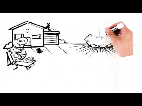 How RatX controls rodents safely, AND effectively.