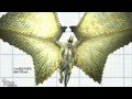 Monster Hunter Size HD +name[10th Anniversary]