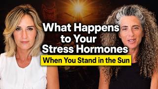 Sunlight The Underrated Stress Reducer: Dark Rooms Are Secretly Keeping Your Nervous System Stressed