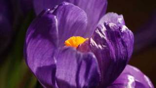 Κωστής Μαραβέγιας - Πάρε χρώμα