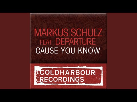 Cause You Know (Nic Chagall Remix)