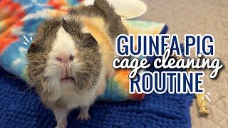 GUINEA PIG CAGE CLEANING ROUTINE 2024