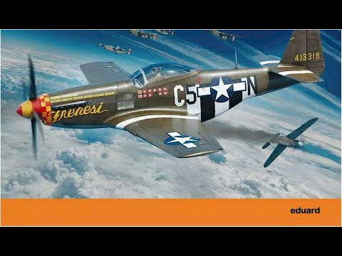 Eduard : P-51D-5 Mustang : 1/48 Scale Model : In Box Review