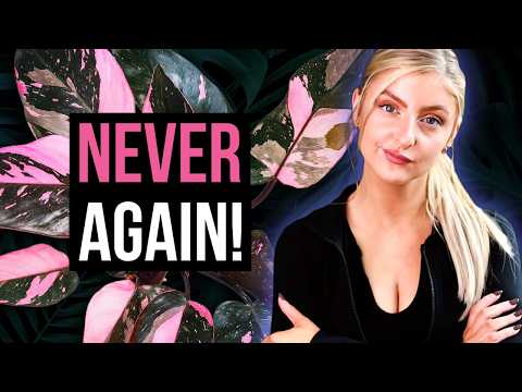 Houseplants I would NEVER buy again! (and some that I would)