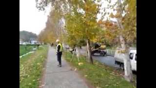 preview picture of video 'Loznica ponedeljak 25.novembar:ljudi ladno seku drvece pored stire.'