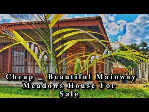 Exquisite yet Cheap Waterfalls House For Sale | Harare, Zimbabwe 🇿🇼
