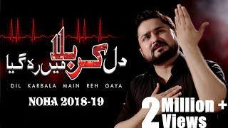 Download lagu Dil Karbala Main Reh Gaya | New Noha 2018 /1440 | Syed Raza Abbas Zaidi | Karbala mp3