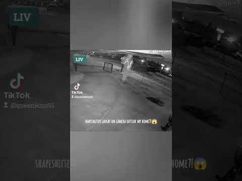 Shapeshifter caught on my camera! #ghost #paranormalactivity #creepy #scary #shapeshifting #mystery