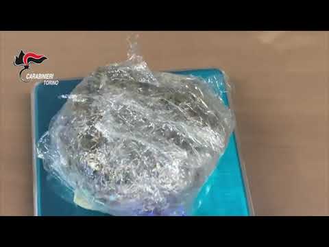 BOSCONERO - carabinieri trovano serra di marijuana