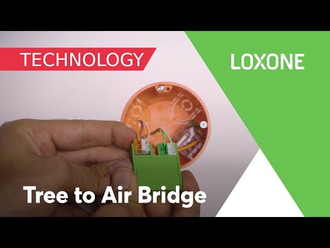De Tree to Air Bridge van Loxone