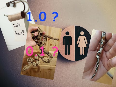 Quick Tipp 4 - Geschlechtsbestimmung bei Schlangen, eine einfache Methode