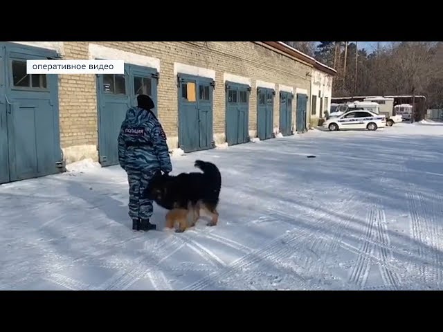Служебный пёс раскрыл два преступления