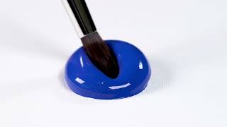 Galeria Acrylic Round Brush | Winsor & Newton