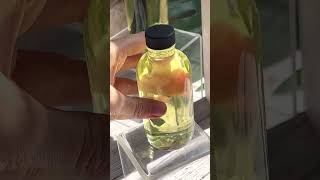 SALE SALE! 50% off on 4oz diffusers!