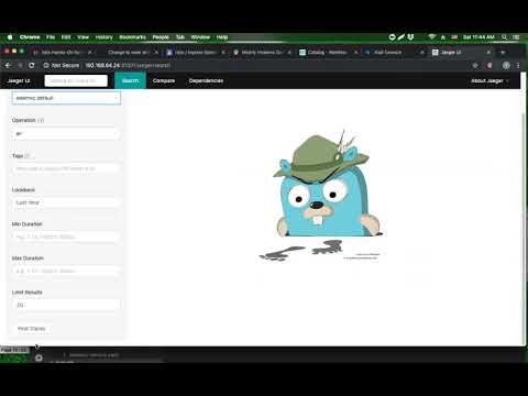 Istio Demo part 3 (Includes Dark Releases)