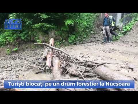 Turiști blocați pe un drum forestier la Nucșoara