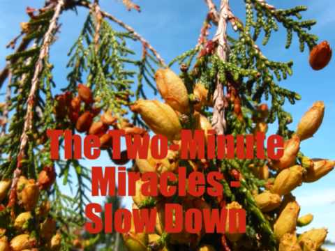 Two-Minute Miracles - Slow Down