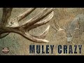 Muley Crazy