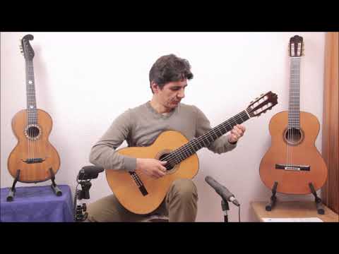 Almansa Professional Jacaranda 1997 - high end classical guitar + video! image 17