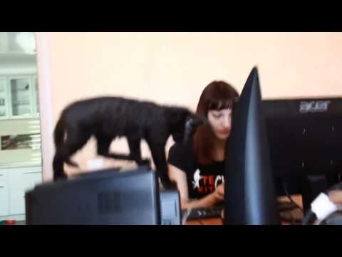 Edifier Spinnaker E30